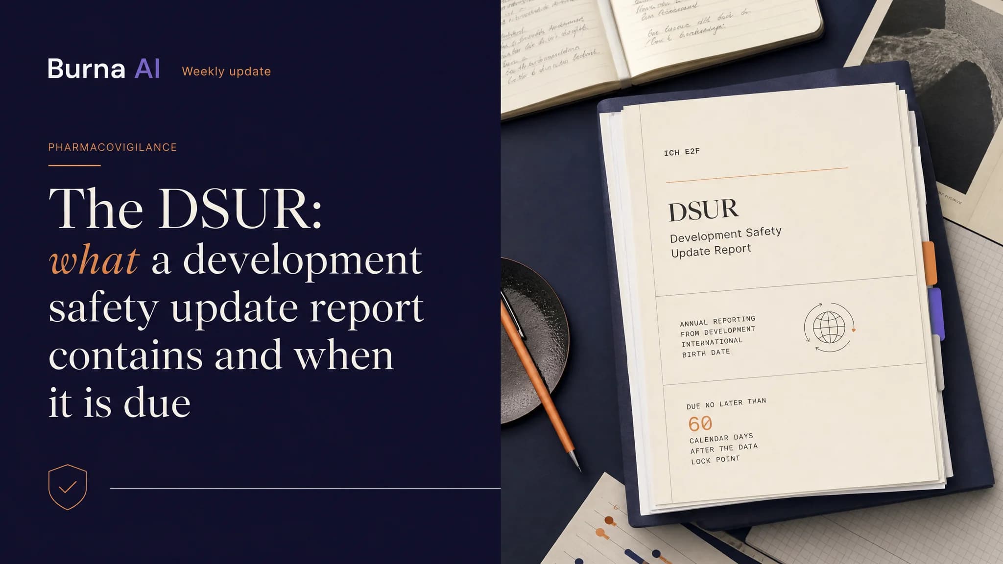 Editorial illustration of a bound annual report with section tabs, resting on a desk.